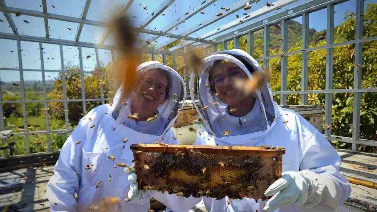 Mountainside Apiary beekeepers holding a honeycomb frame with bees.