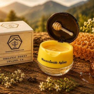 Mountainside Apiary lip balm with box, honeycomb, and small honey spoon